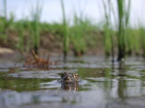 A24d0372c93e54a7a873a92138c91618