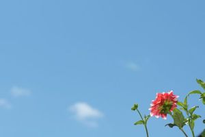 937f5de3ad8ac3749dc83515de604184