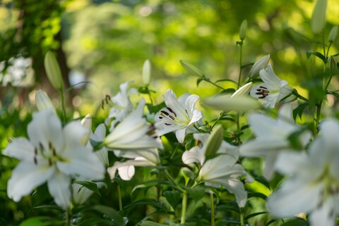 A219fe20610309f7933bbbf7bfed4af1