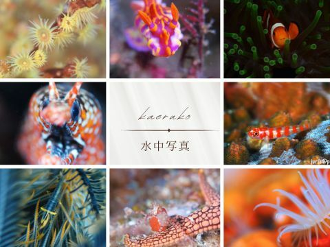 F3325a76b80225442d49c4595894b7d6