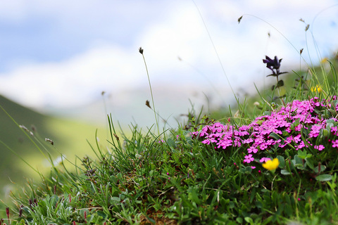 2598648cb936e90b4f7438268160b551