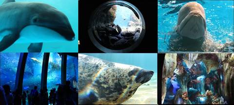 Ab644980202d74368e62abe337ea1b01