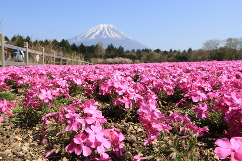 Bcd5a50c61915d0f76e9dfb44fec2d88