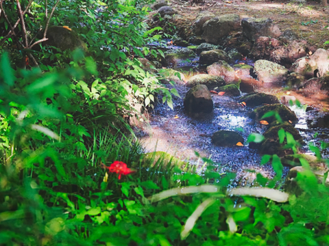 74e52dcf3388fab66d35ff870b71d882