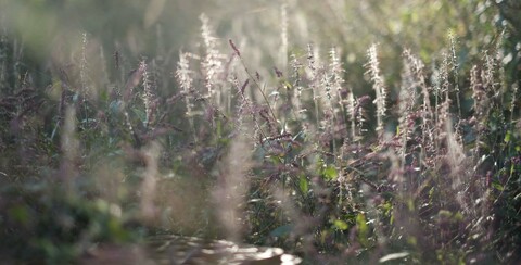 E4063c42cca31f85c0365ccdef8fed27