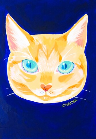 B973486a083391eb02c97ea9da93e3d9