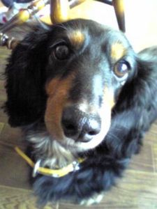 Db5fe9950d140a7ccd2dd9f85f249397