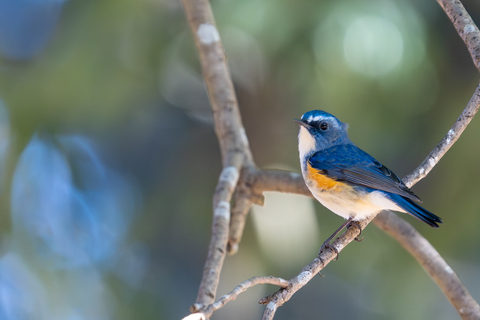 25ab0f9774248dfc51c5dd1529c85a07