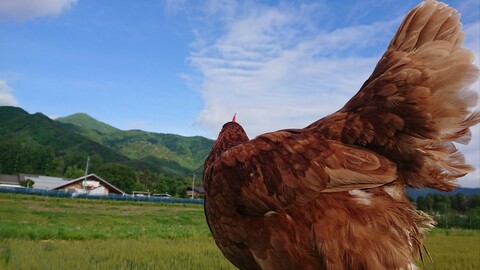 17446540b88398c02cd70bbacb5a88c6