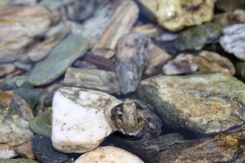 F1c1b753e42b5d61f44b6864201cb1be