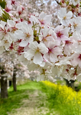 656fee74c53c1a760f2845d0c616efe2