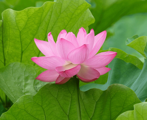 Fd2793d3227d8d38a8b8e7f2fcd7ad3a