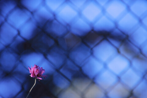 926ca84931bf0b3d9ae38a722f0724db