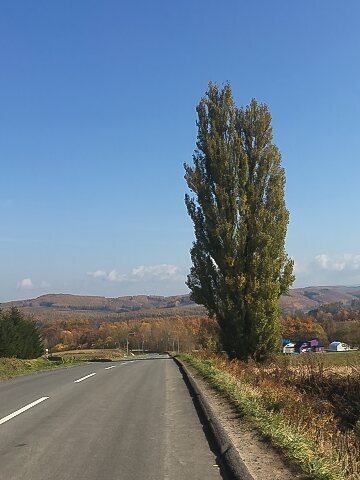 865510cba34e82d6ffb8f35292f7a23b