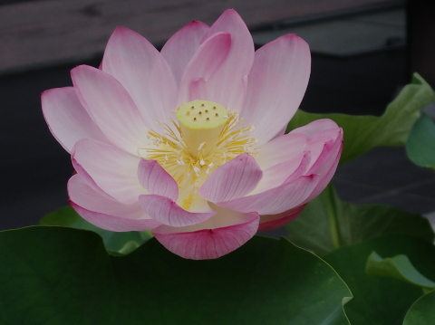 0275649c78d572c6448a3d7796e0d25b