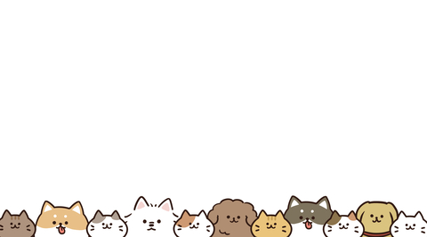 837afec08c13ecf083c397a7557b2916