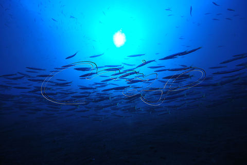 D88930ce7f0d51a2001df8075099021f