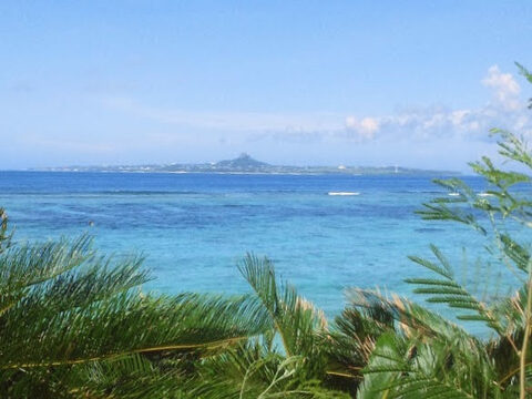 Bf97e71cd61f315e175421554134baf7