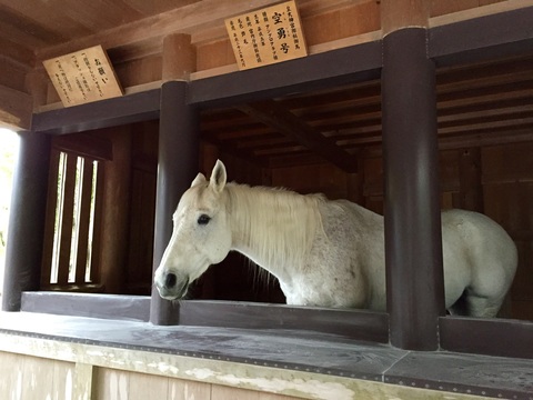 2c8e9d63c13c20d69b22fbc719682bc3