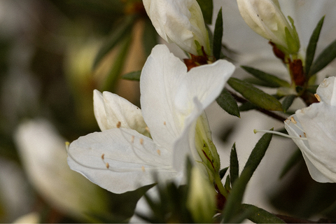 41e1b0f672e16d6b19b947dfcd4971cd