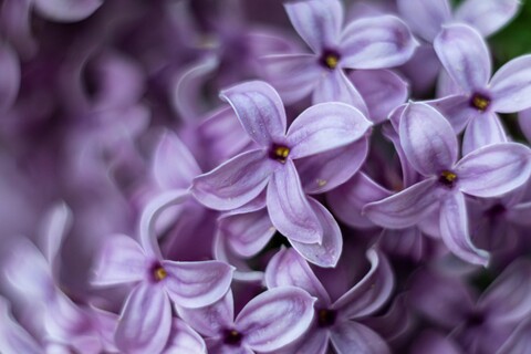 8671d4424dda219e9f2b2b8a0c19f93e