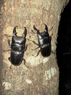 59806079ff10ed50ca30056cb03dab5b