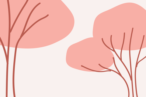 81355080ee038768cb4edb83ac9cfdb4