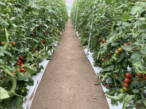 Cd1db82aff5f7d95a4a68d923a6fb986