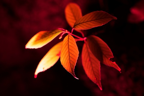 03652c927ae30f3e09727b6bab3bad66