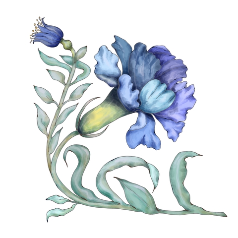 A356a86faf261cfe6cca3a0a57436bb0