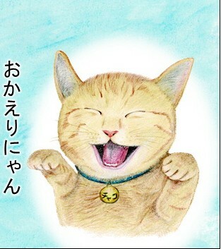 Aa3de75f3c16b8a3c19ce89b9808b478