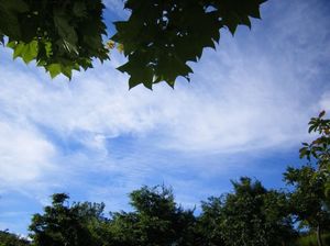 2f90e68358caa9214eac90599730968c