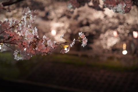 29fdf3e31a8e8227dfcbc6eb2ad4b12b