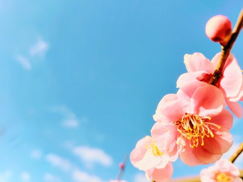 0d4f9304baf573571a30bcaab68f2029