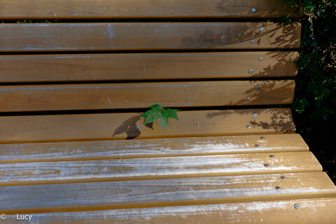 C8f7129346a9e667f5de9b1404635ed2