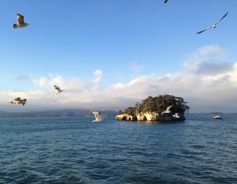 A595360f9ed70b9db6ea7a054a02a635