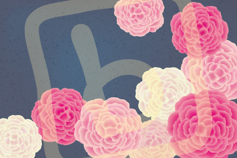 D426e20b264532039f846006fe105af1