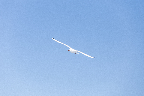 21084285a132de82ba5e677d09096350