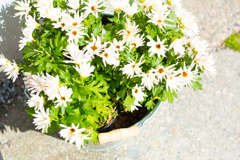 Bf24e81bb73b355d16a949f050b63cc8