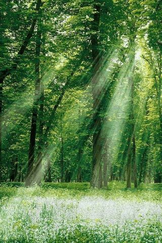 1dfa05ae3f5b03c9592df2f8e1aa13e6