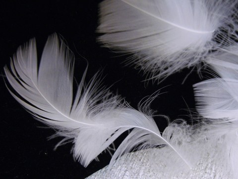 D3712ffd1f57ace49a7419b296a5bded