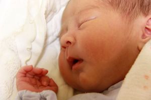 F1da0ebd446bf165d73f35db0c25f778