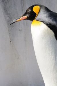 Fd606dbdd2315f61d907d7db9a11b4d1