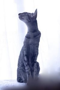 158eeeed73265d4bb3fe7cf2db7650aa