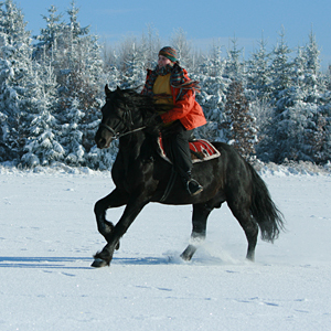 B883057cf0b179633c6b3ec00149e46c