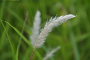 7efe84357dd135e842798d266266e251