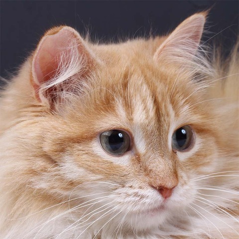 9c349e12ce2c7c612bfe328916e94eb2