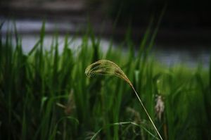 58784f9cdc3a5e77315e12afdee153f3