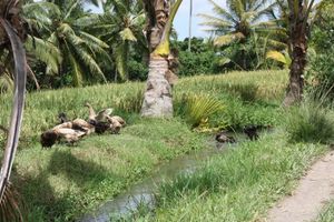 601c73a69400dede95f66c15ceaecc45