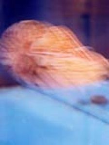 A002004dda845d6d0155cb68ee224e0b